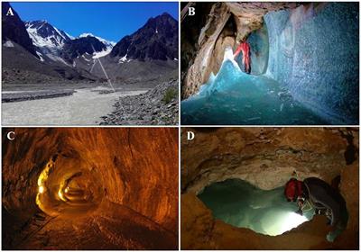 Living on the edge – An overview of invertebrates from groundwater habitats prone to extreme environmental conditions